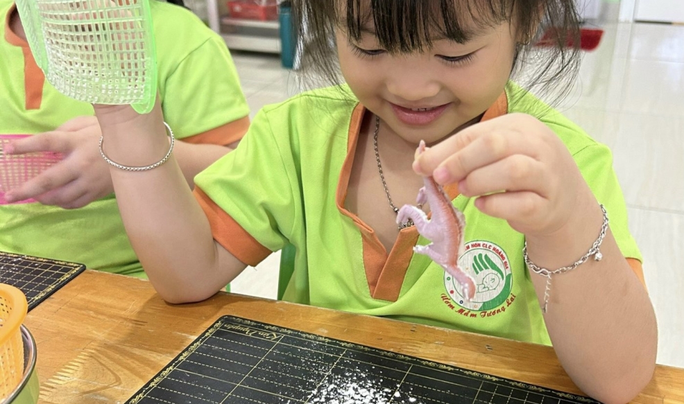 Hoạt động vui học tại Trường Mầm Non Hoàng Gia