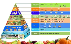 thực đơn dinh dưỡng cho trẻ mầm non